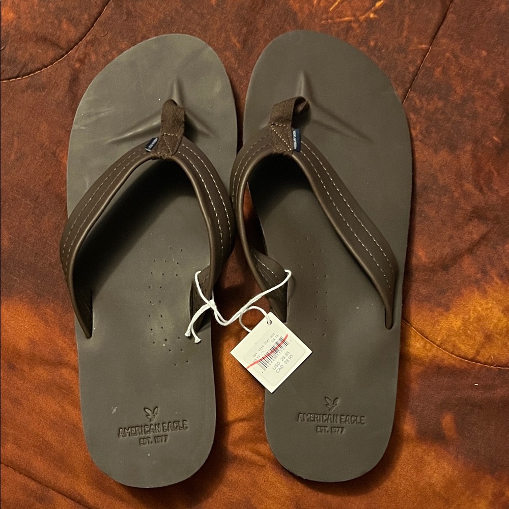 American Eagle Outfitters Dark Brown Men's Sandals